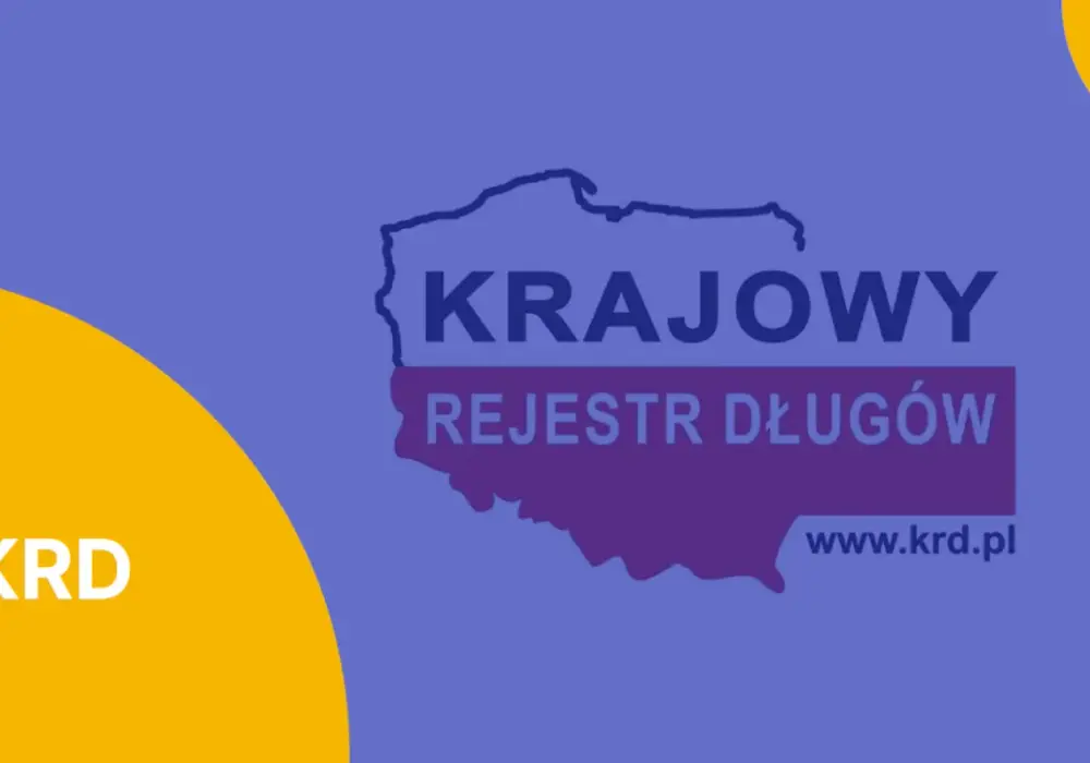 Krajowy Rejestr Zadłużonych: Szybki sposób na sprawdzenie długów bez stresu
